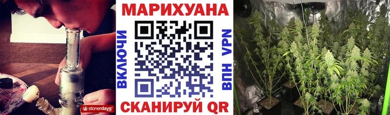 Сколько стоит Лесосибирск Бошки Шишки  Псилоцибиновые грибы  COCAIN  kraken ТОР  ГАШ  Меф  APVP 