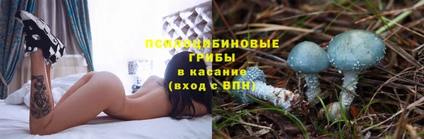 хмурый Майский