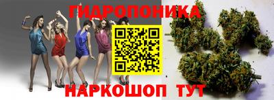 синтетический гашиш Кингисепп