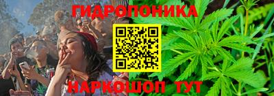 apvp Кимры