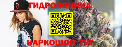 кокс Кинель