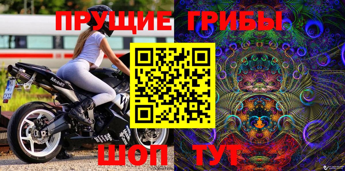Галлюциногенные грибы Psilocybe  Вход с VPN  Лесосибирск 